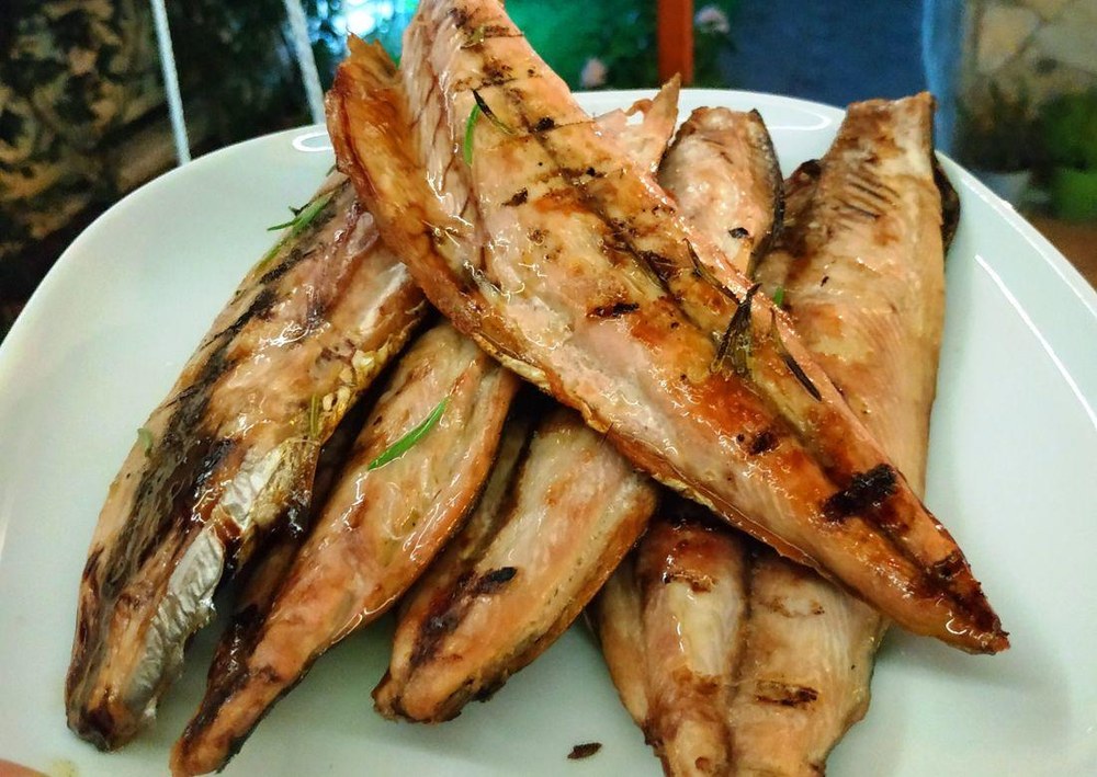 Palamut